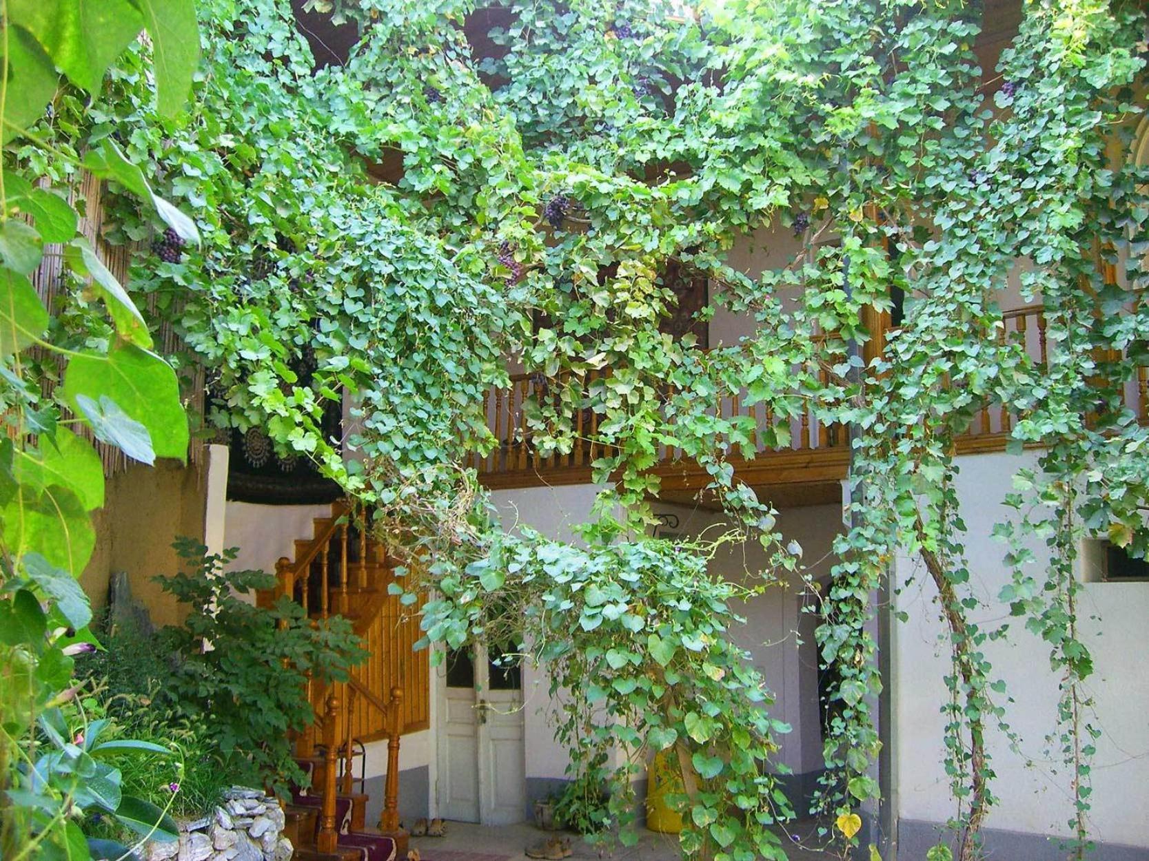 Jahongir Guest House Samarkand Exterior foto